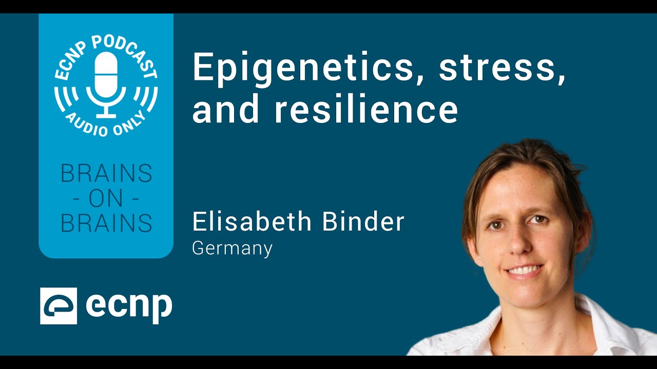 Epigenetics, stress, and resilience | Brains On Brains