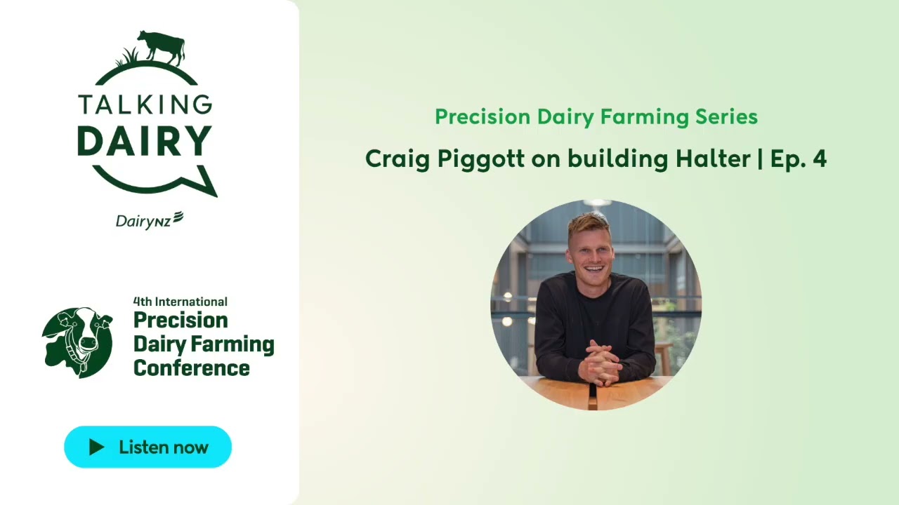 Talking Dairy: Precision Dairy Farming Series - Craig Piggott on building Halter | Ep. 4
