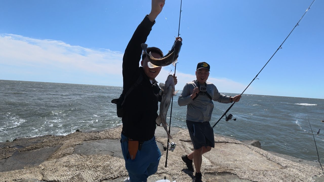 Caught Our Limit Keeper Tautogs In Atlantic City New Jersey | Walmart fishing Hooks And Lines |