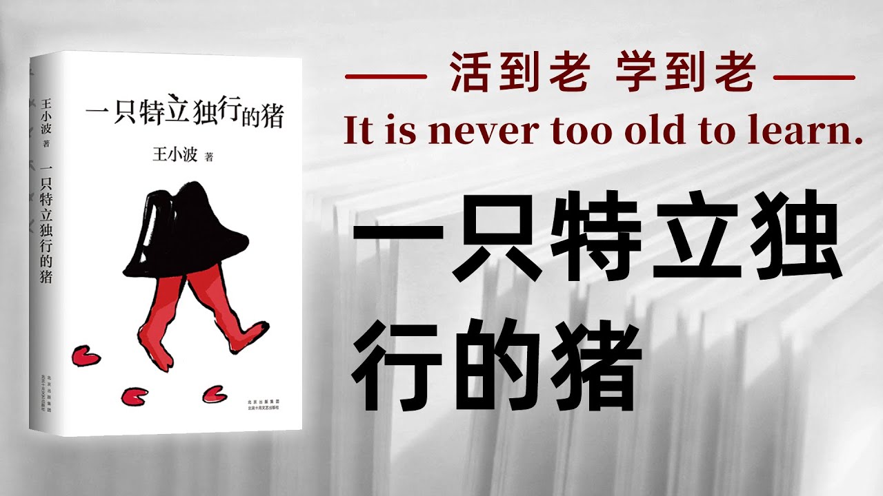 好书解读：《一只特立独行的猪》作者：王小波 【书海拾慧】