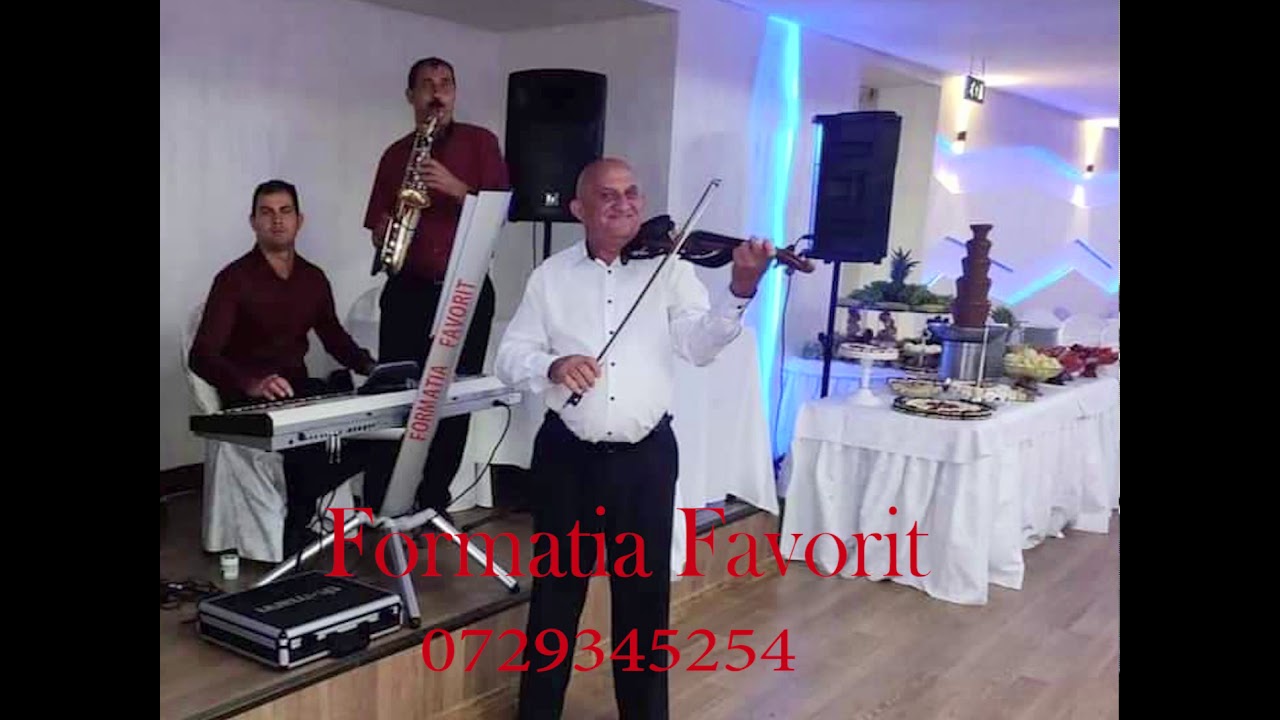 Formatia Favorit Mehedinti - sarba instrumentala la vioara (cover)