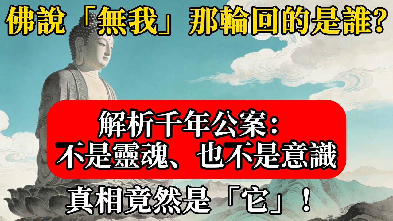 佛說「無我」，那輪回的是誰？解析千年公案：不是靈魂、也不是意識，真相竟然是「它」！#佛緣禪修#佛陀#佛學#佛教#禪修#佛法智慧#佛教故事#佛教文化