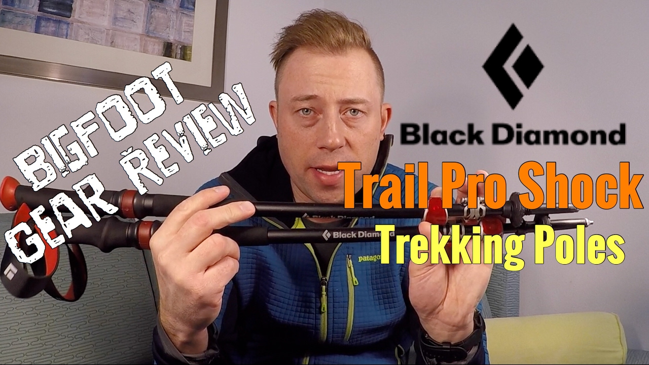 Black Diamond Trail Pro Shock Trekking Pole Review