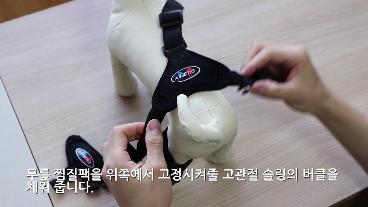펫츠오앤피 칼데라 무릎 찜질팩 착용 영상입니다.