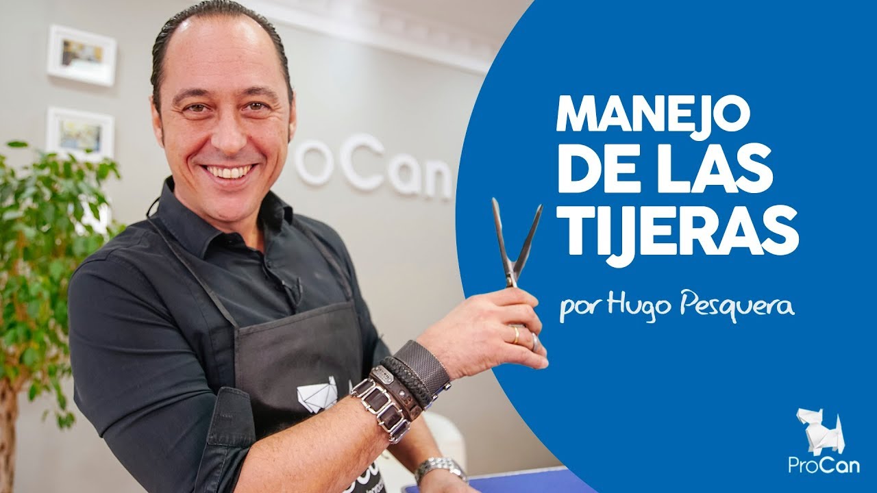 MANEJO DE LAS TIJERAS EN TECNICA AL AIRE | PELUQUERIA CANINA