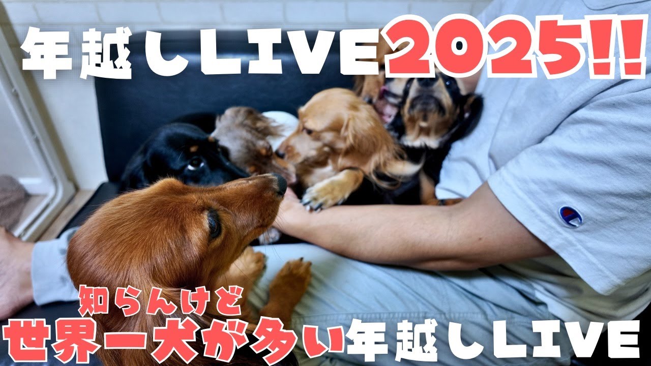 【年越しLIVE】多分世界一犬が多い年越しLIVE、知らんけど