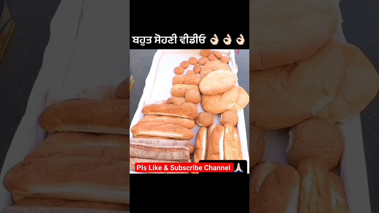 Pls Like & Subscribe Channel #punjab #trending #dairyfarm #dailyvlog #new #neeliravi #news