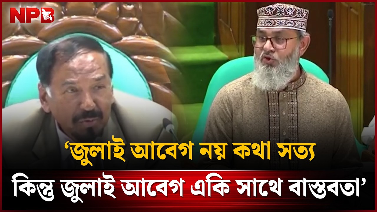 স্বরাষ্ট্রমন্ত্রীর বক্তব্যের কড়া জবাব দিলেন মাসুদ সাঈদী | Masood Sayedee | Parliment | NPB News
