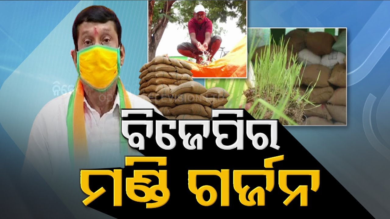 BJP Targets Odisha Government Over Paddy Procurement, Mandi Mismanagement