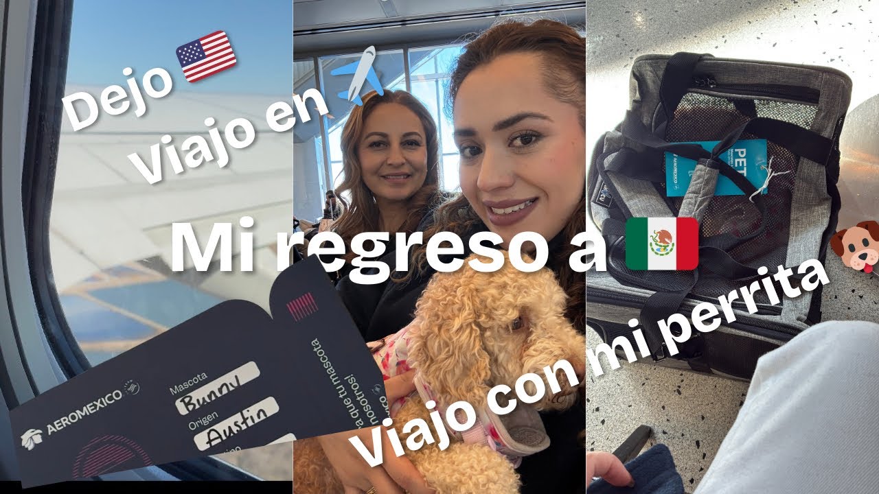 MI VIAJE DE REGRESO A MÉXICO 🇲🇽// VIAJE CON MI AMIGA // VIAJE CON MI MASCOTA 🐶