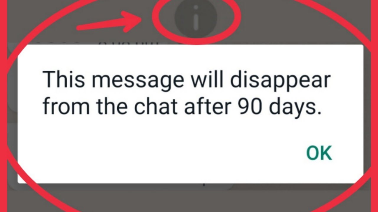 WhatsApp What is | This message will disappear from the chat after 90 days