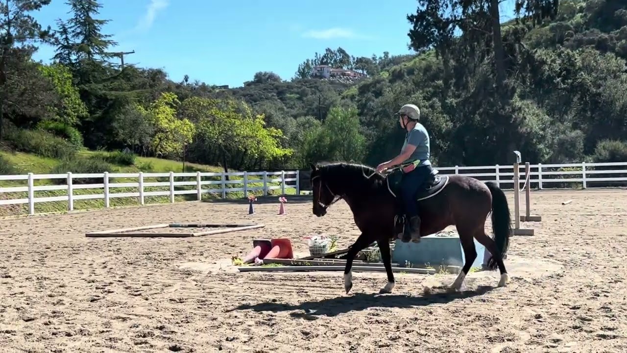 Feb 2026, Gaited Trail
