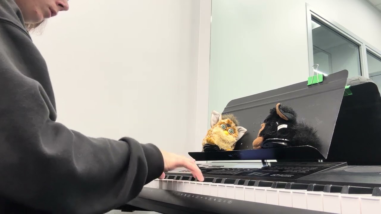 I’m Gonna Win | Tally hall cover by me