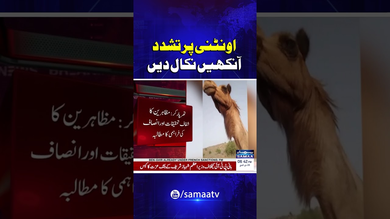 Shocking Animal Cruelty in Tharparkar | Samaa TV