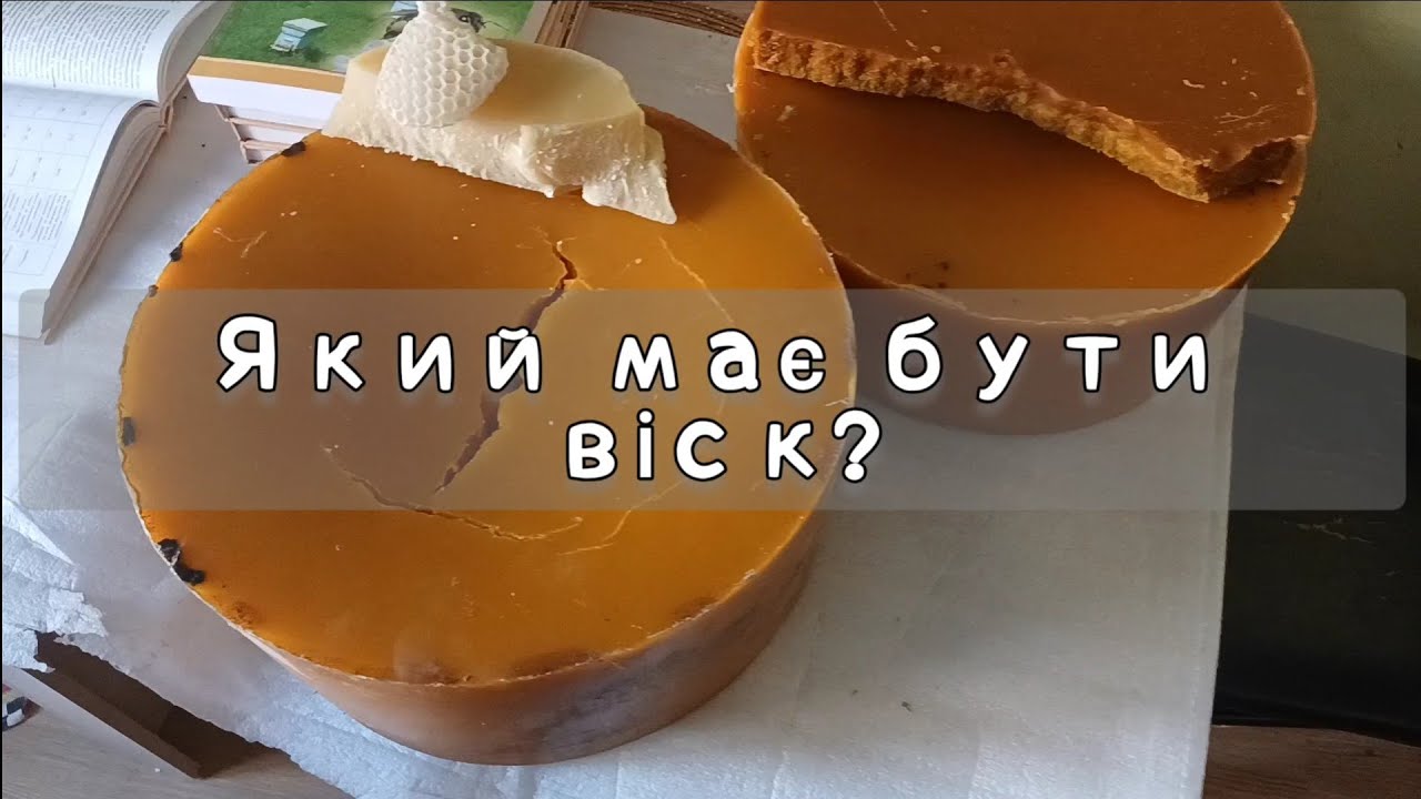 Який має бути бджолиний віск?