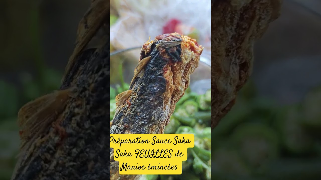 Sauce Saka Saka FEUILLES DE MANIOC EMINCEESCrevettes en poudre Poisson Fumé Guedj  SecGombo coupé