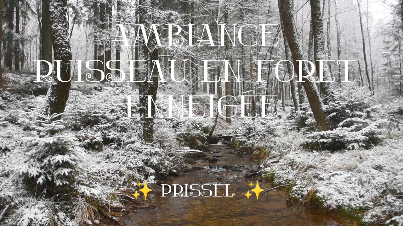 ✨ 🌨️ 1h Snowy Forest Stream Gentle Water Sounds for Relaxation & Sleep reading meditation nature ✨