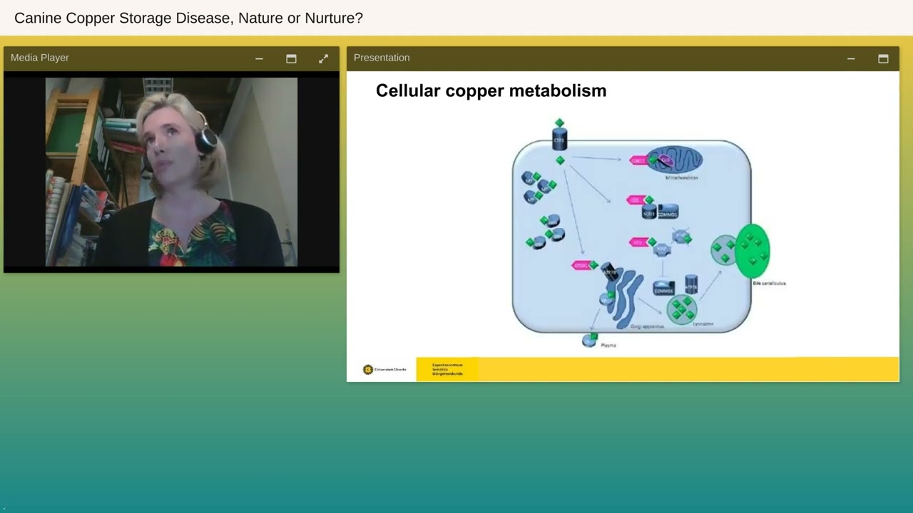 Canine Copper Storage Disease, Nature or Nurture? - Canine Health Summit 2022 - Embark for Breeders