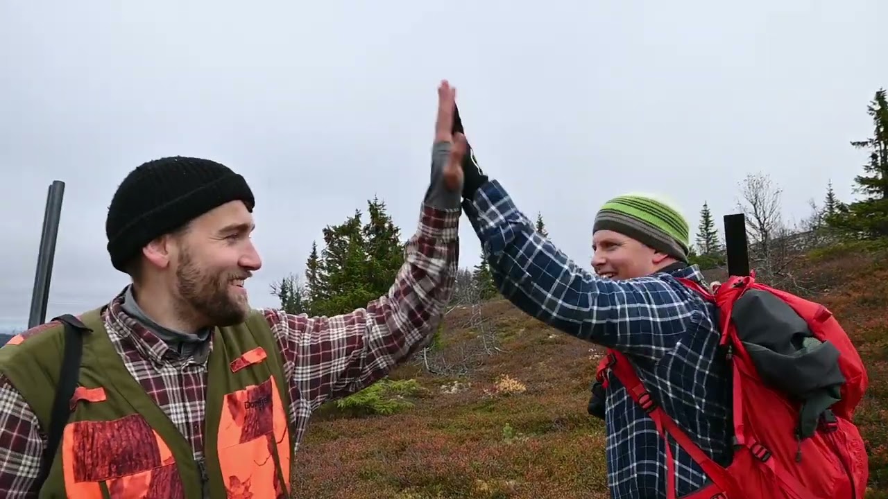 Rype og skogsfugljakt med stående fuglehund - September 2024