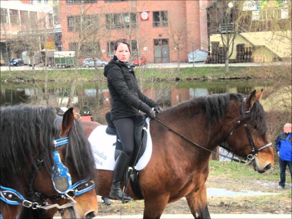 Bilder vom Osterritt in Regen