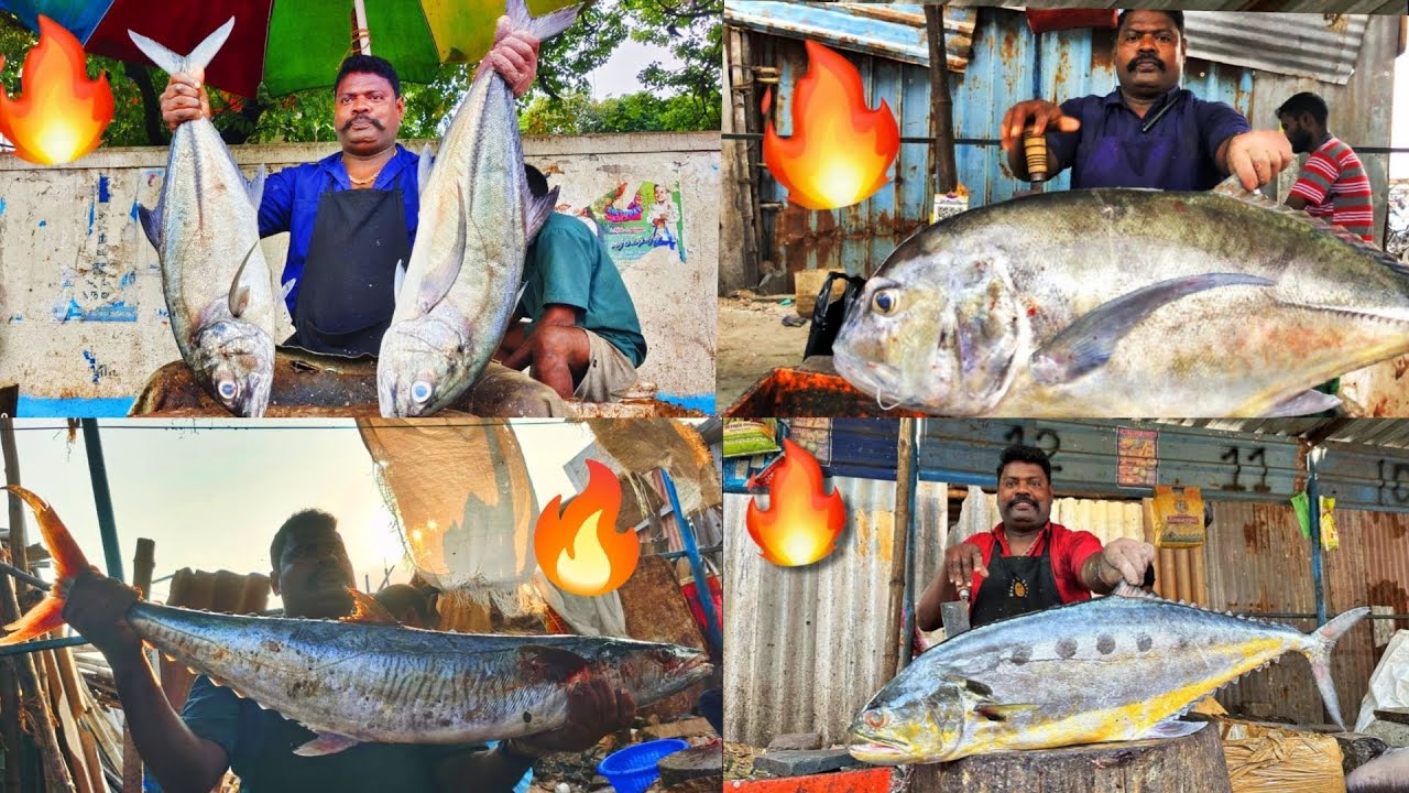 India's Fastest🔥 and Most Skillful Kasimedu Selvam Fish🐟 Cutting Compilation💥#kasimeduselvam