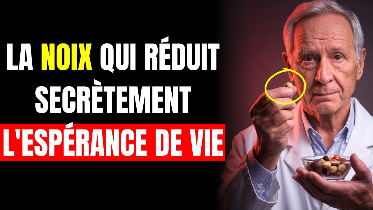 Plus de 65 Ans ? 3 Noix &agrave; &Eacute;viter Absolument &ndash; Et 3 &agrave; Consommer Sans H&eacute;siter | Conseils Sant&eacute; Seniors