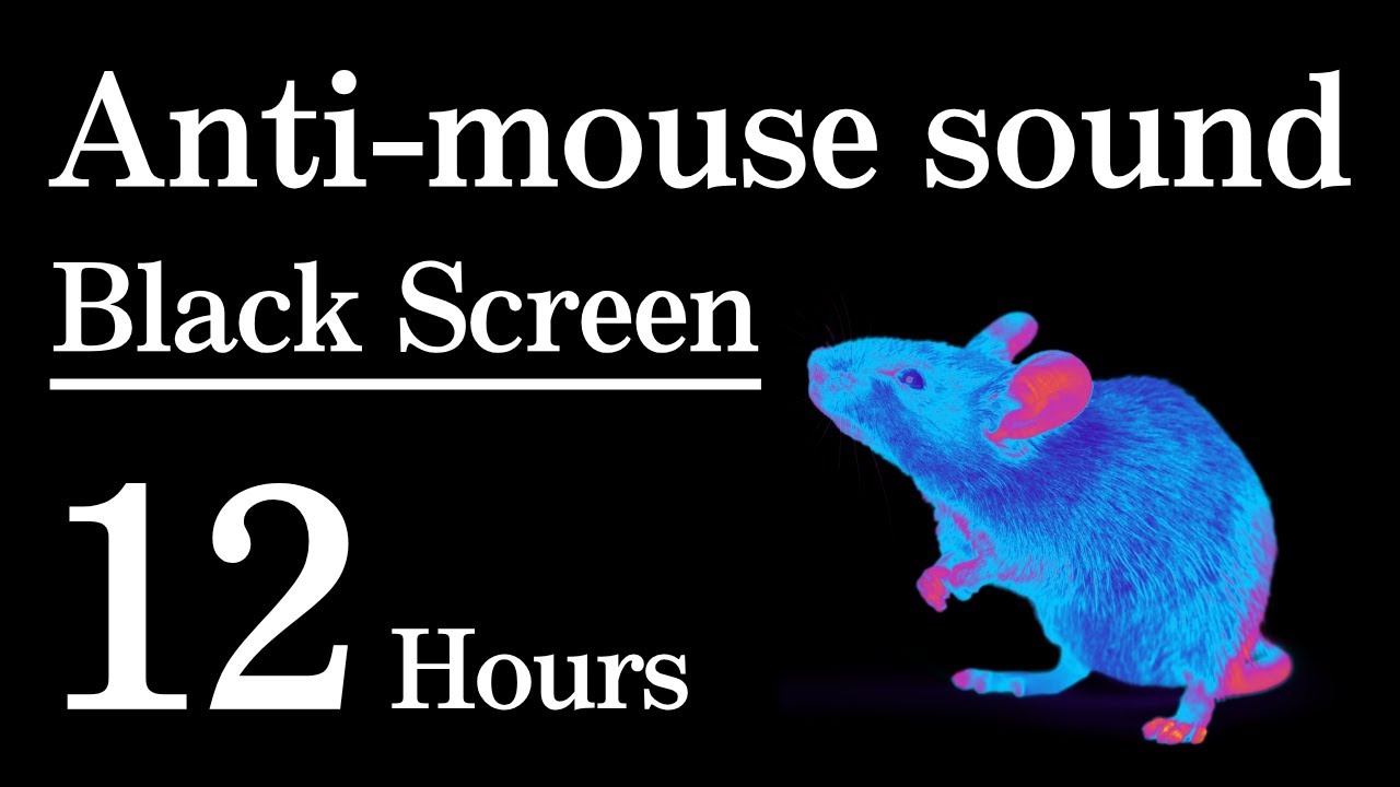 Anti-mouse sound | Black Screen Version | Rest easy with a mouse-free night | 12 Hours