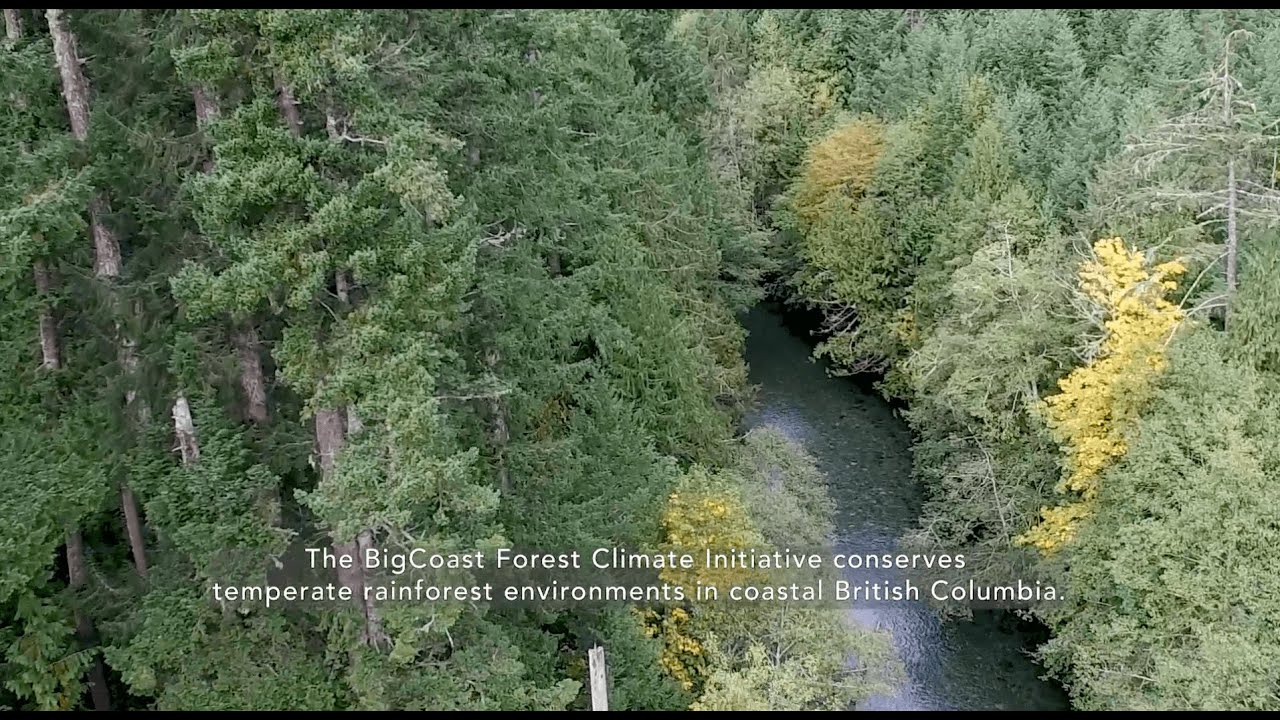 BigCoast Forest Climate Initiative