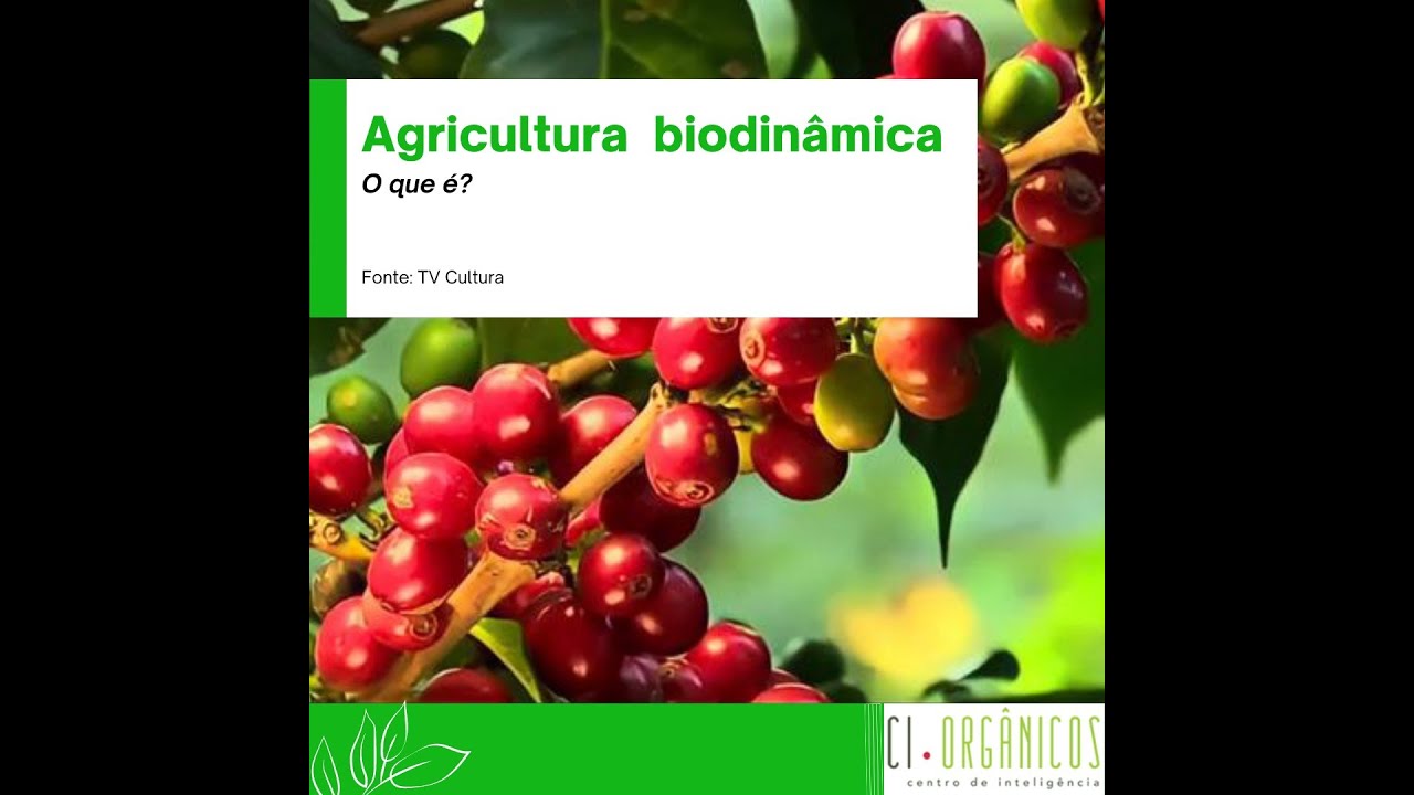 Agricultura biodinâmica, o que é?