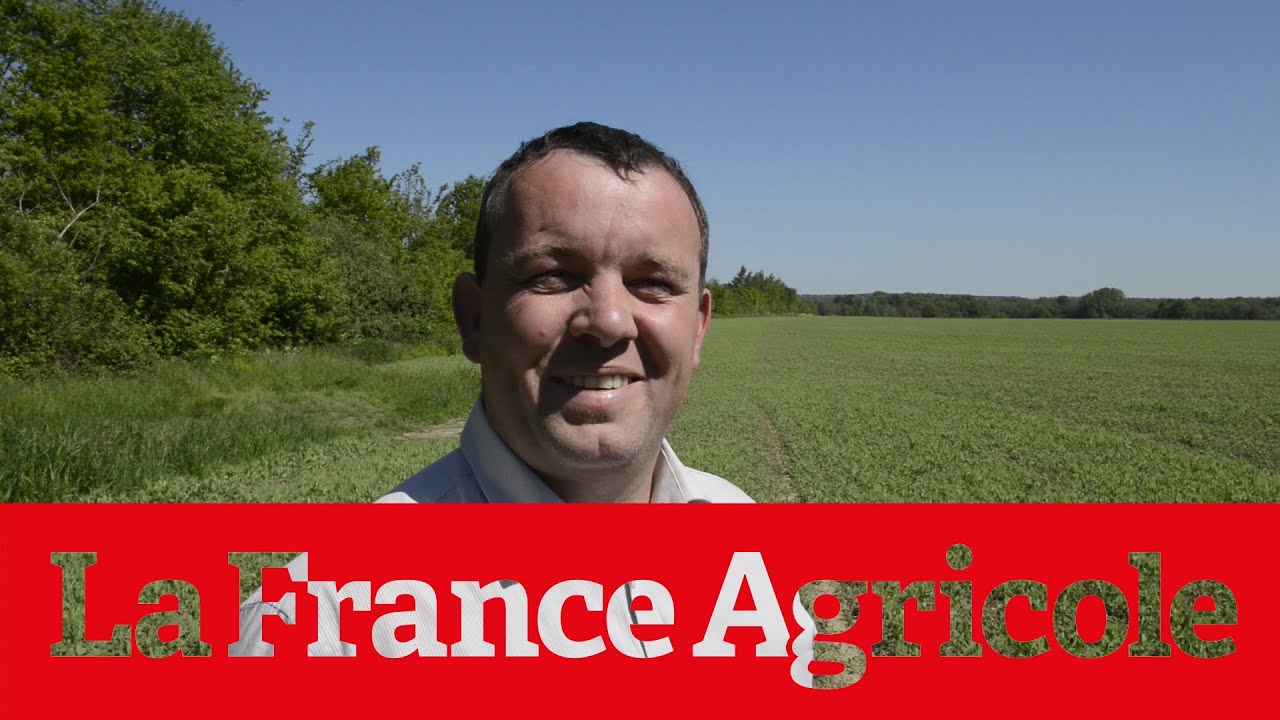 « Je cultive des pois de conserve en agriculture biologique »