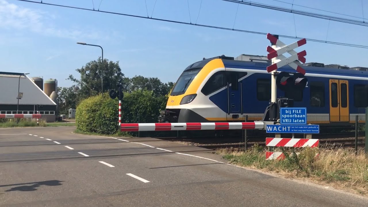 SNG Passing through Limmen yet Again!!!  Fast trains in Limmen and more! (Trainvlog #1)