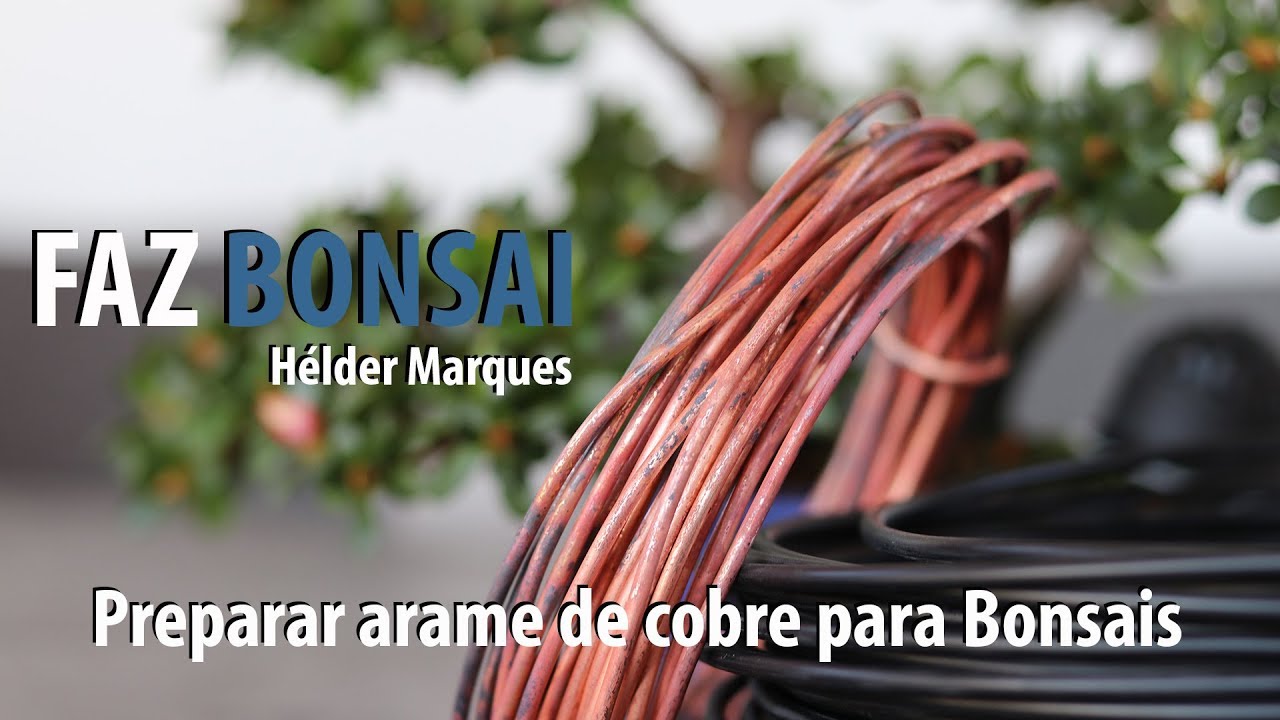 Preparar arame de cobre para Bonsais