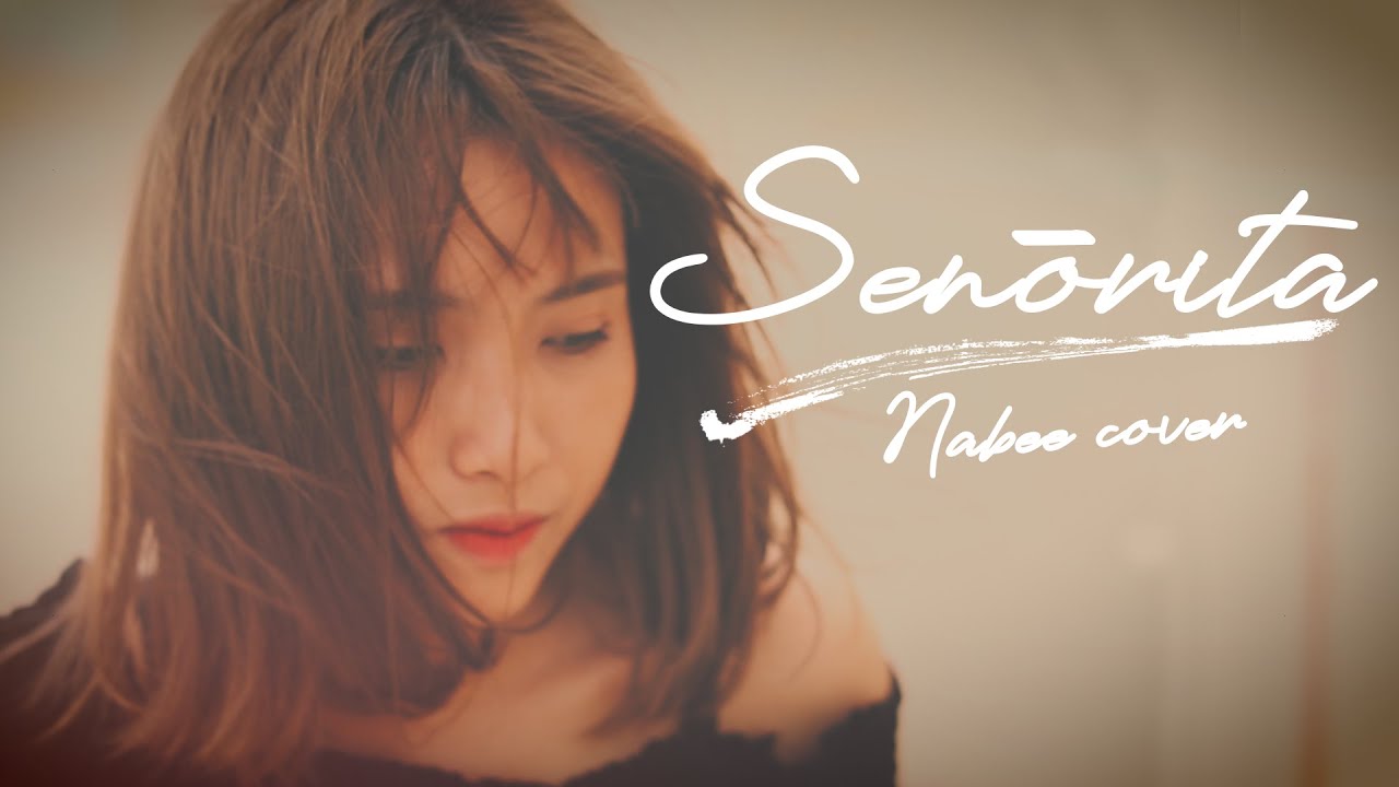 SEÑORITA (Shawn Mendes, Camila Cabello) - NABEE COVER