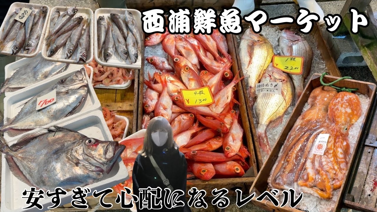 【西浦鮮魚マーケット】深海魚で有名な世界最強市場を発見。激安新鮮で品揃えも豊富！#激安#市場#最強