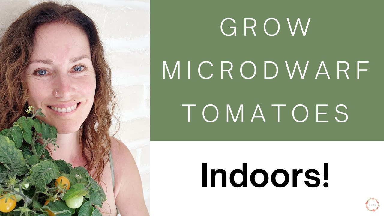 Tiny But Mighty: 5 Micro Dwarf Tomatoes Perfect For Any Space!
