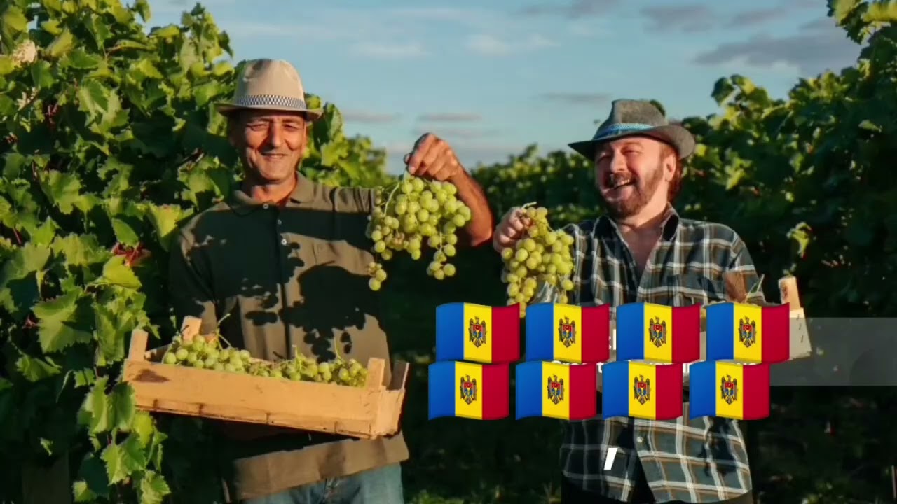 Moldova mea 