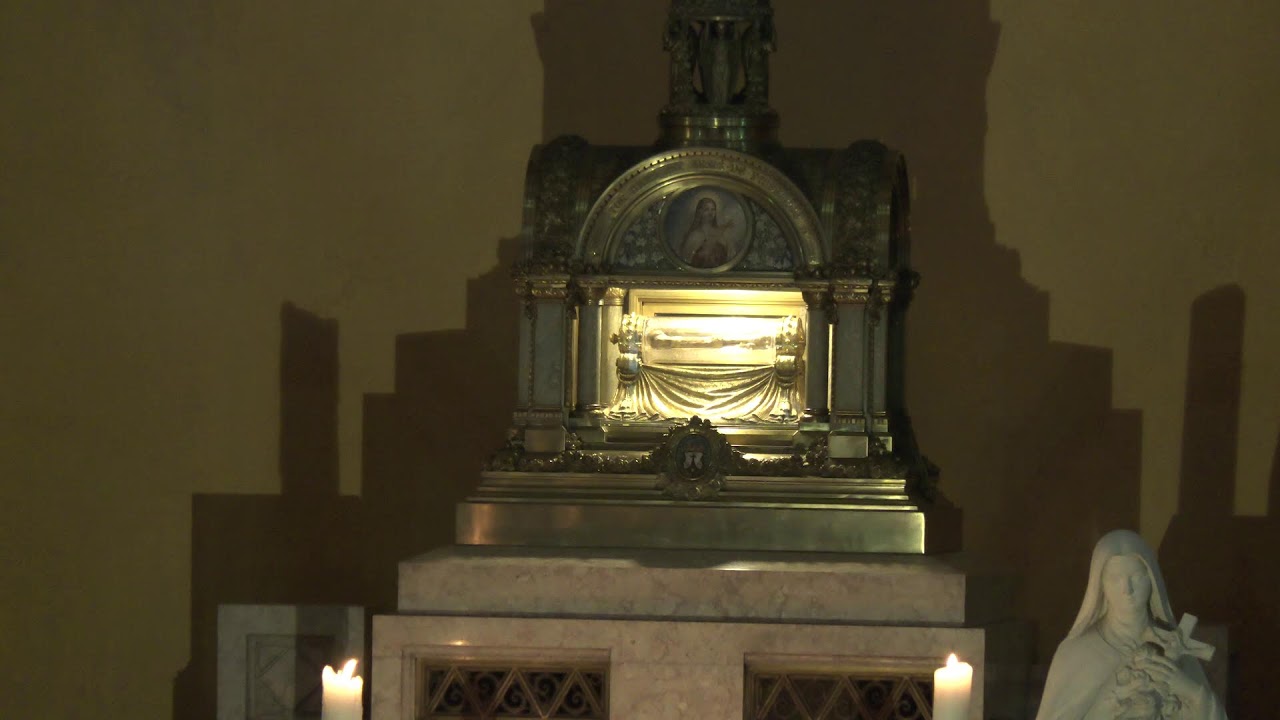 Messe du dimanche en direct de la Basilique - dimanche 30 novembre 2025