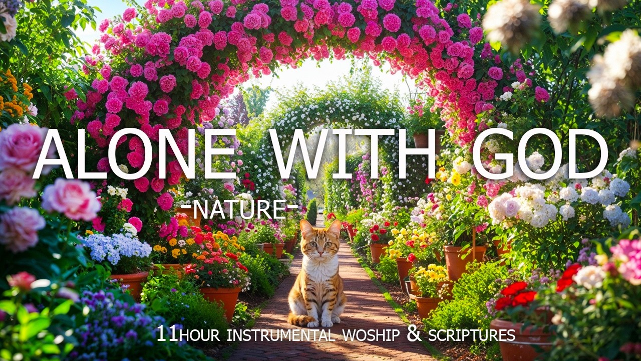 Alone With God: Instrumental Worship, Meditation & Prayer Music with Nature 🌿Christian Instrumental