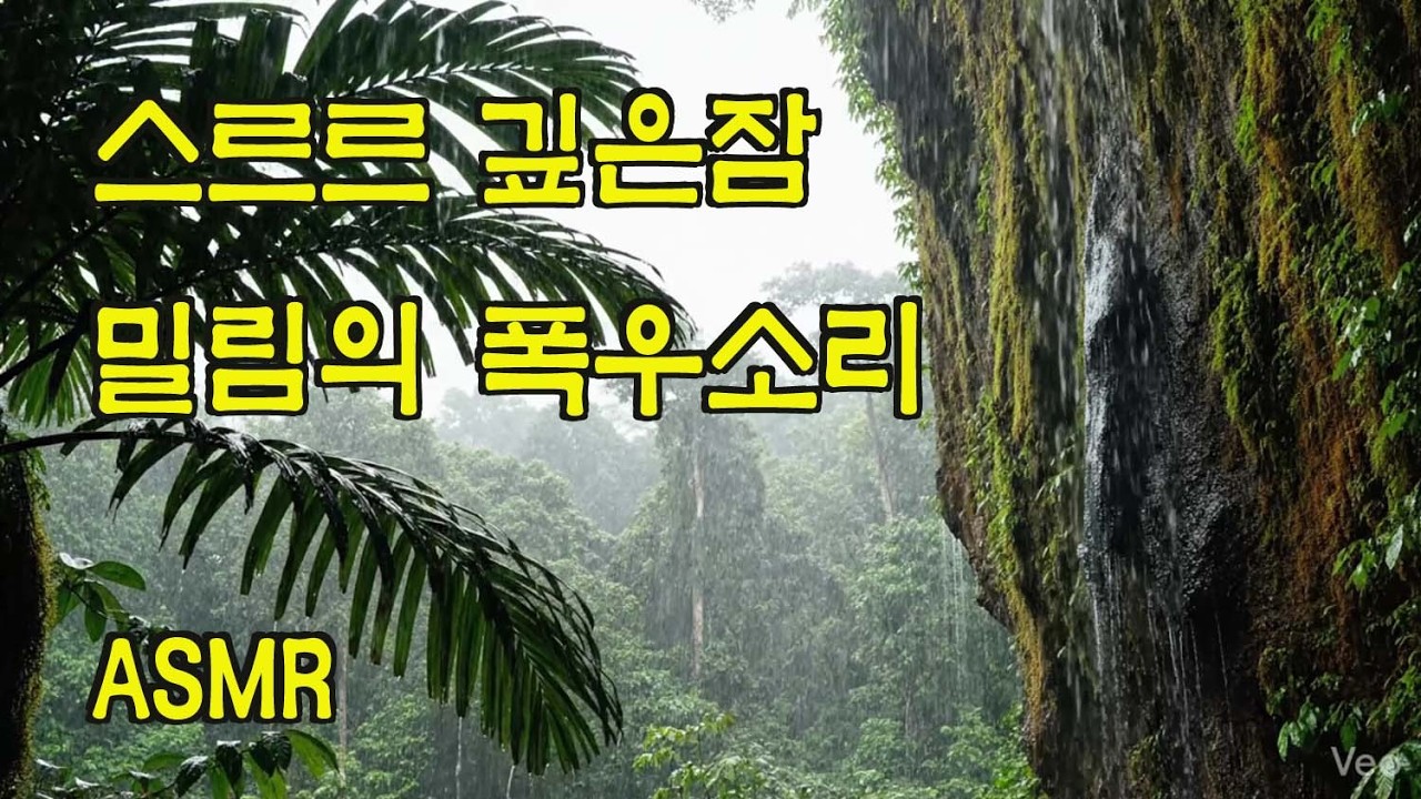 ASMR, 잠이 오는 영상, deep sleep rain, 백색소음, 힐링 영상, 불면증 치유, 빗소리, 폭우, the sound of rain, 깊은잠 빗소리, 밀림 폭우소리