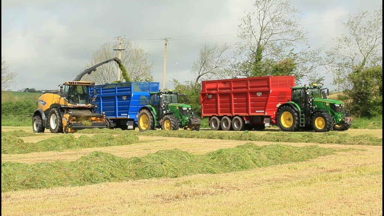 First Silage 22 - New Holland Fr 920 Forage Cruiser
