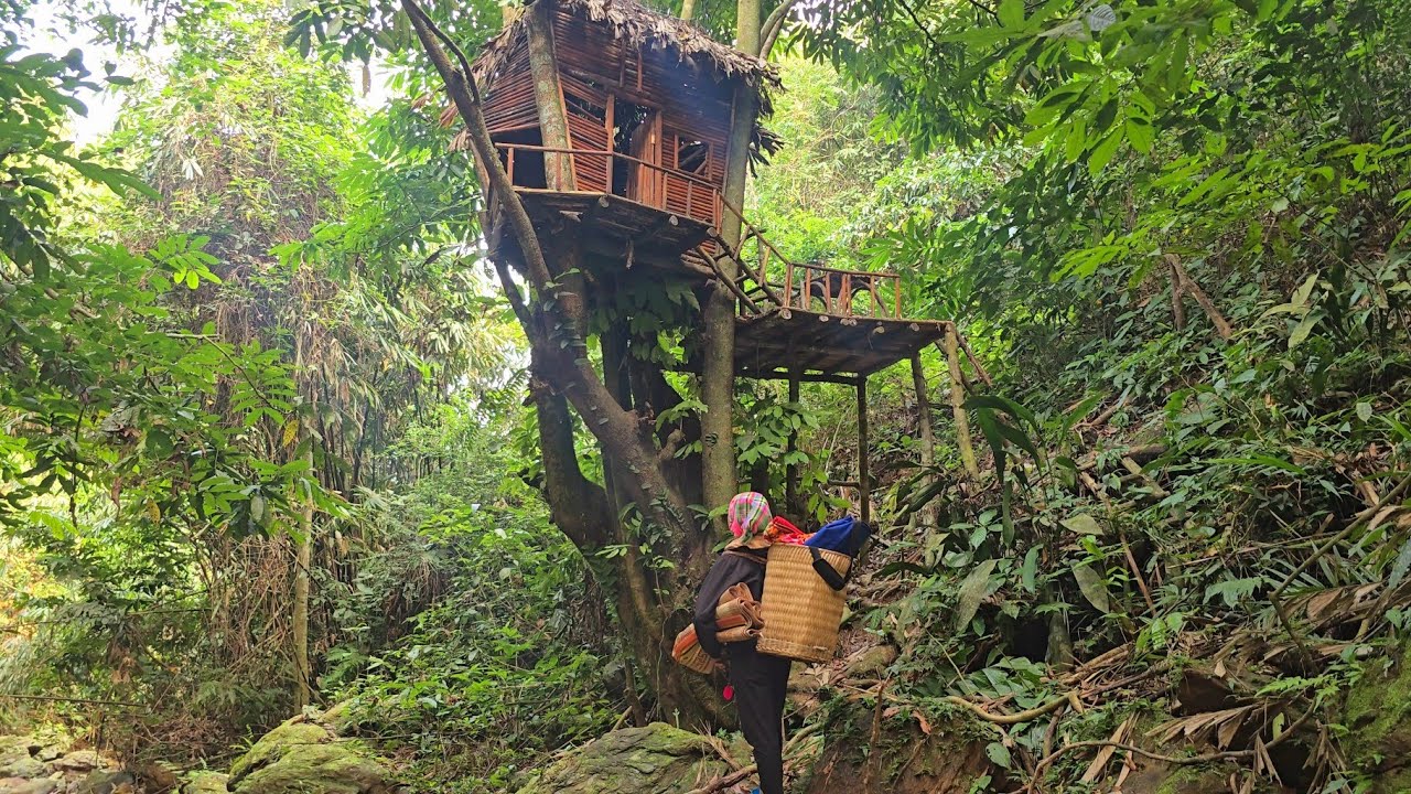 A young girl is lost in the deep woods. She is surprised to find an abandoned tree house.