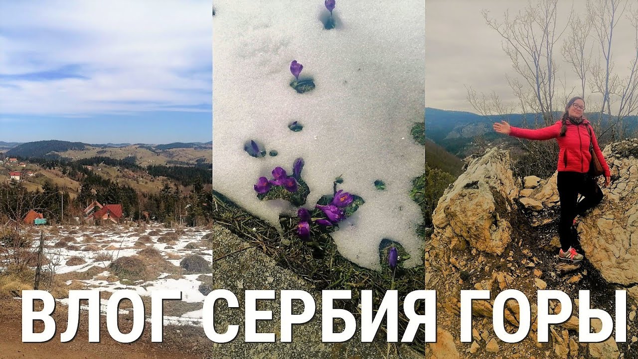 Влог. Сербия горы Златар, апрель 2021, кулинарные покупки