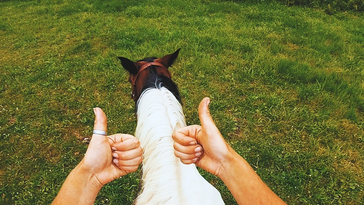 Tip # 7 - Using lateral work to get a smooth gait