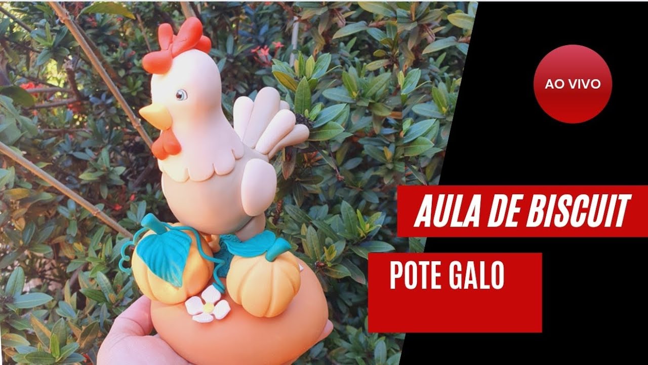 Aula de Biscuit | 