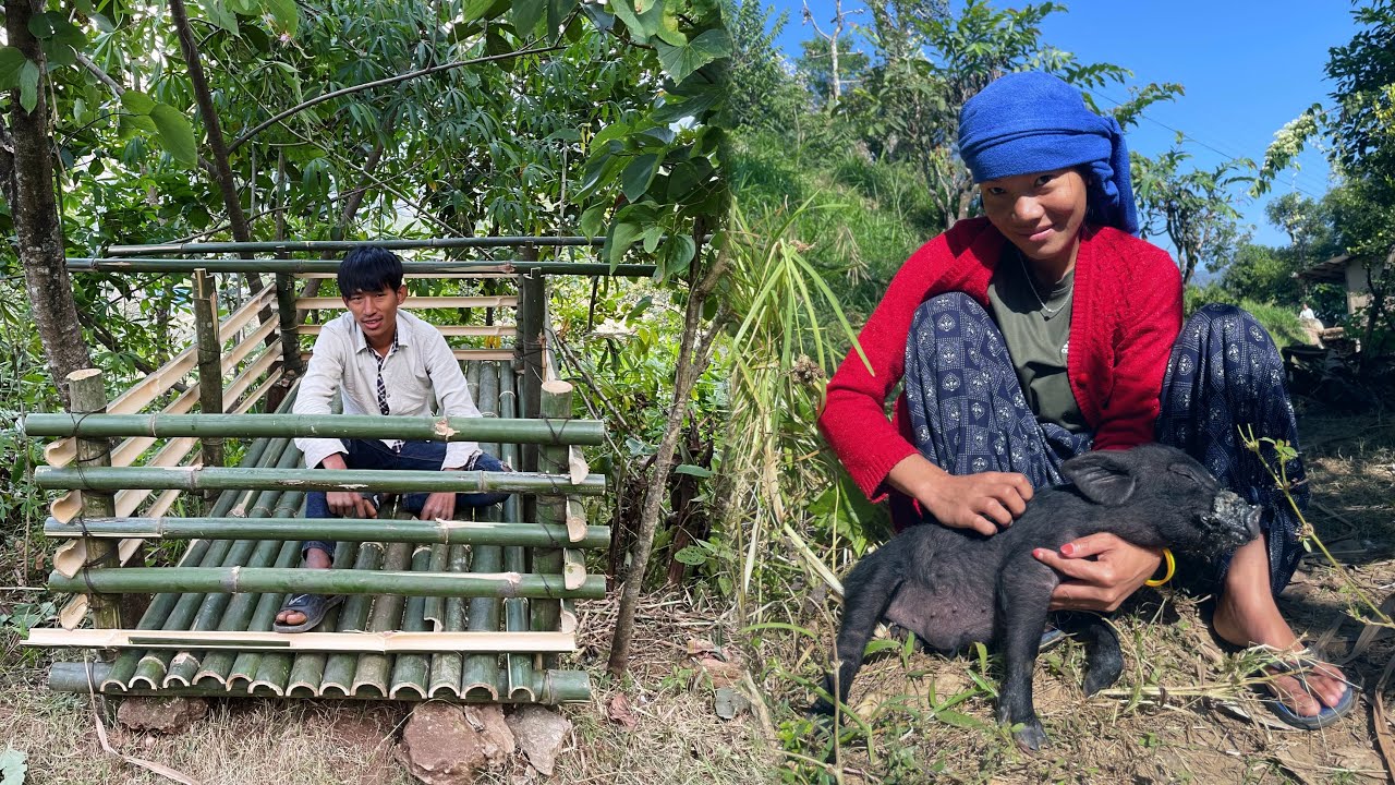 Building Pig House in Village ! Relaxing Village Life of Nepal ! Sakkali Life 