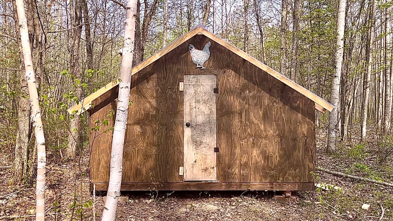 A Simple DIY Chicken Coop Build On Our Off Grid Homestead