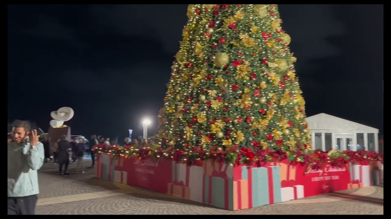 31 December 2025