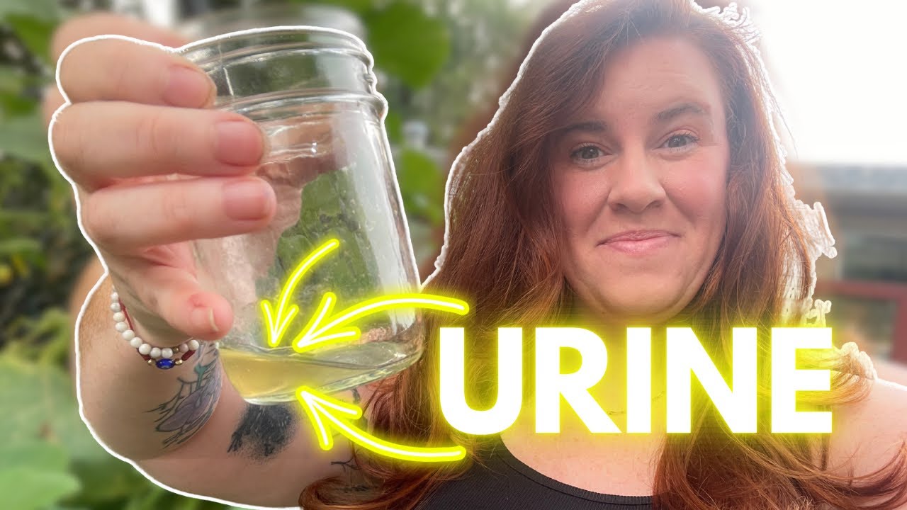 Urine Fertilizer… EVERYTHING You Need To Know.