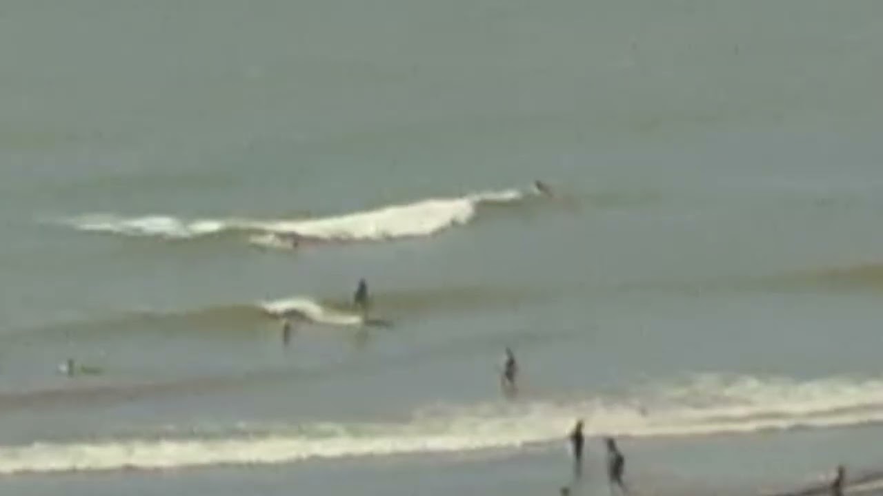 linda mañana de olas en varese 🤙🌊🏄‍♂️