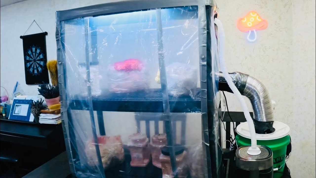 Small Automated Mushroom Fruiting Chamber